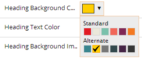 branded-color-palette.png