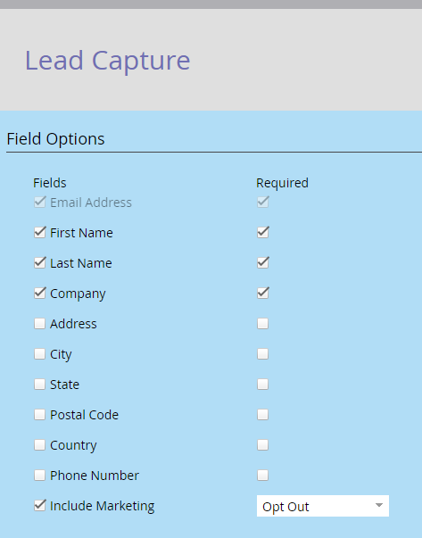 Lead Capture Sweepstakes.png