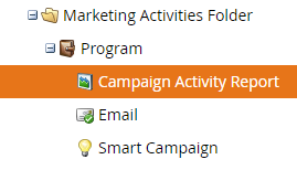 Campaign Activity Report.PNG