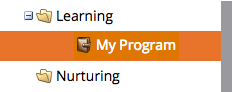 Program Standard.png