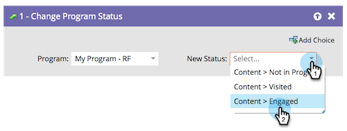 Change Program Status flow step.png