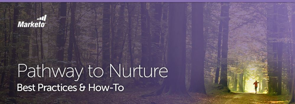 CEE_Marketo_Nurture-1.jpg