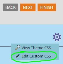 Edit Custom  CSS - Screenshot.JPG