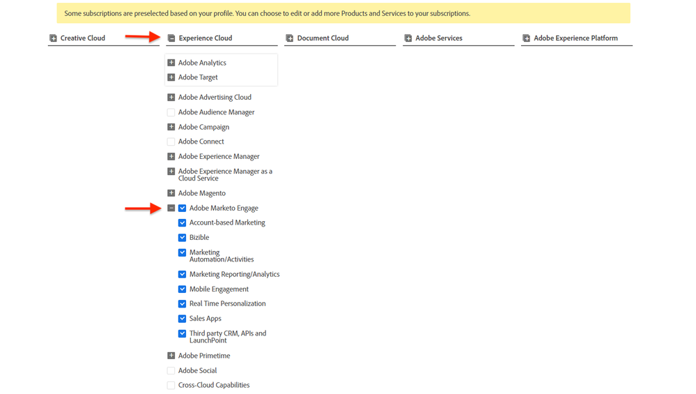 Marketo Dropdown.PNG