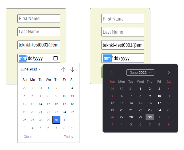2022-06-30-14_59_15-CodePen---MktoForms2-__-Datepicker-Placeholders[1].png