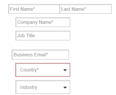 Original Form with Custom CSS - Field Labels within fields