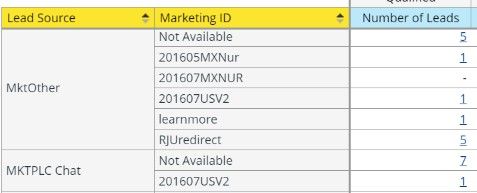 marketo lead report.jpg marketo lead report.jpg