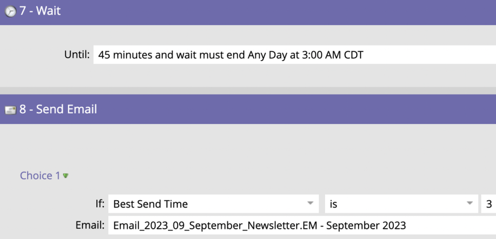 Example of a Wait and Send Email pair