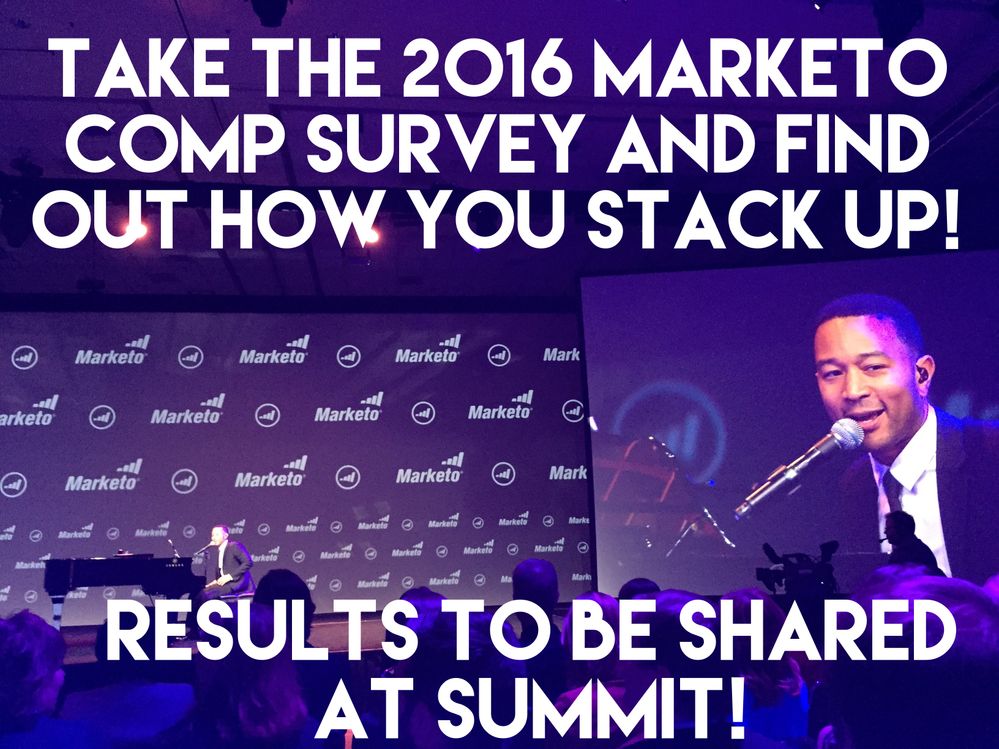 Marketo-Comp-Survey-2016.jpg