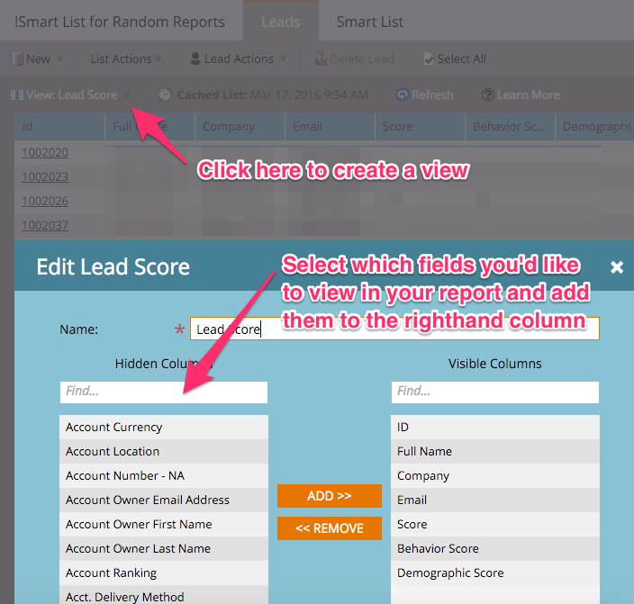 Marketo____Smart_List_for_Random_Reports_•_Lead_Database.png